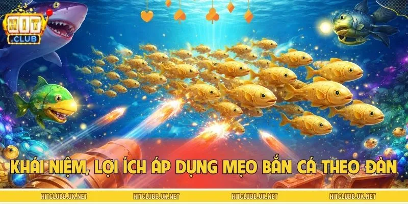 Khái niệm và lợi ích áp dụng mẹo bắn cá theo đàn